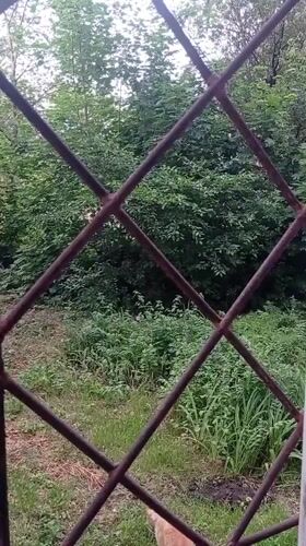 Quiet domestic life documented in Zaporizhzhia residential area