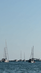 Lazy afternoon swimming and boating at Novigrad harbor