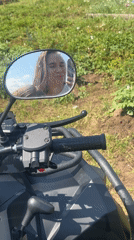 Sunny ATV stop selfies in Kharnavy, Russia