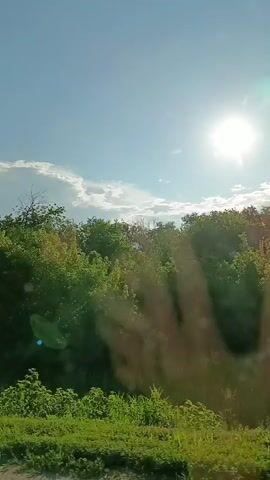 The video shows a view from inside a vehicle looking out at a sunny sky with scattered clouds and green trees. The sun is bright and high in the sky. The left side of the frame shows a glimpse of a person's hand reflected in the glass, with a finger extended upwards. The hand is blurry and translucent, appearing as a shadow or overlay on the outdoor scene. The lower part of the frame shows a glimpse of the road or ground surface moving beneath the vehicle. The scene is outdoors in daylight.