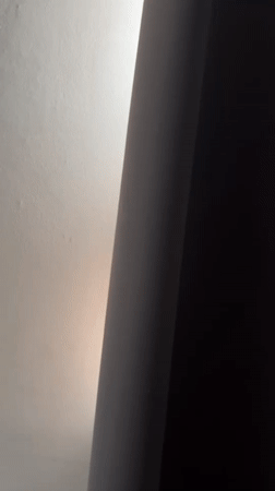 Sphynx cat spotted behind white wall in Krasnodar