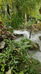 Small waterfall documented in tropical vegetation, Baan Lipa Noi