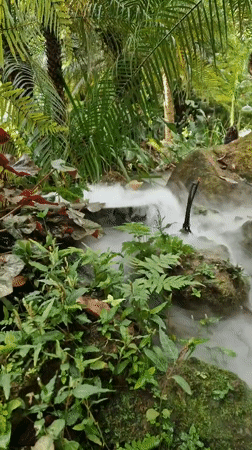 Small waterfall documented in tropical vegetation, Baan Lipa Noi