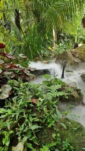 Small waterfall documented in tropical vegetation, Baan Lipa Noi
