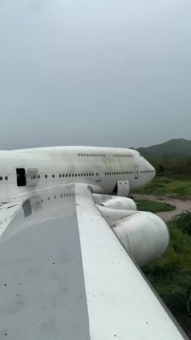 This is a close-up video of a white jumbo jet airplane parked on a grassy, muddy field. The camera pans across the fuselage and wings, revealing some wear and tear on the aircraft. Vegetation is growing around the plane, suggesting it has been abandoned for some time. The sky is overcast, and the overall atmosphere is one of decay and disuse. There are no people or animals visible in the video.
