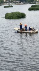 Workers collect aquatic plants by boat in Hanoi lake
