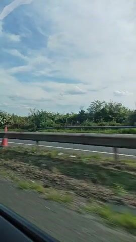 The camera, positioned inside a vehicle, captures the view out the side window while traveling on a highway. The highway has a grey guardrail and white lane markers. Outside the guardrail is a grassy area with shrubs and trees, stretching towards the horizon. The sky is partly cloudy with shades of blue and white. The vehicle is moving forward, as evidenced by the changing scenery passing by. There are a few traffic cones visible at the beginning of the video.