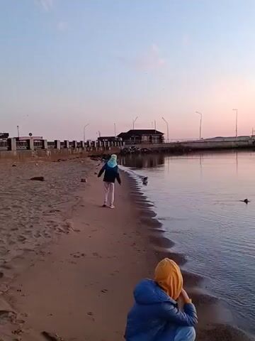A video shows two individuals on a beach near a body of water. The sky is a gradient of pink and blue, suggesting it is either sunrise or sunset. In the foreground, a person wearing a blue jacket and an orange hood is crouching and facing away from the camera, looking out at the water. In the midground, a second person, wearing a blue jacket and a light blue hood, is walking along the shoreline, also facing away from the camera. There are several birds in the water. In the background, there is a pier or boardwalk with structures and lights. The beach is sandy and appears to be relatively empty.