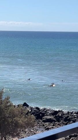 The video shows a sunny day at the beach. Several people are in the water; one person is on a surfboard, and others appear to be swimming. The sea is a clear blue-green, and small waves can be seen. The coastline is rocky, with some greenery. A sign showing the temperature as 20 degrees Celsius is visible in the foreground. The video pans across the scene.