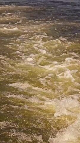 The video is an extreme close-up of churning, greenish-brown water. The water is highly agitated, with white foam and splashes visible throughout. The texture of the water suggests rapid movement, perhaps a river or a waterfall. Sunlight glints off the surface in some areas, highlighting the dynamic nature of the water. There are no people, animals, or man-made objects visible in the frame. The overall impression is one of natural, raw power and movement within a watery environment.