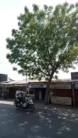 The video shows a street scene with several small shops or stalls lining the right side of the road. A large tree with green leaves is prominent in the foreground, partially obscuring the sky and the shops. The sky is bright and appears to be a clear day with some scattered clouds. Shadows from the tree are cast on the road. Several motorcycles are visible. In the immediate foreground, a motorcycle is being ridden away from the camera. Further down the road, another motorcycle is parked. In front of the shops, there are also some people standing or walking. The shops appear to be selling various goods, with signage visible, though the text is mostly illegible. One sign reads "PLASTIK." Another sign in red text is partially visible. The overall impression is a quiet street scene, possibly in a rural or suburban area, during daylight hours.