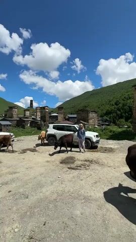 A person in a blue and white striped shirt and patterned pants stands next to a white SUV. Two cows are in the foreground, with a third cow further back. In the background, there are stone towers and green mountains under a blue sky with white clouds. The ground is dirt and gravel. The person appears to be gesturing towards the cows.
