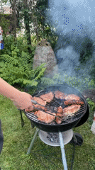 Backyard BBQ and garden in bloom, Sofia