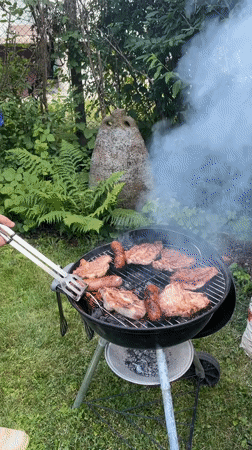 Backyard BBQ and garden in bloom, Sofia