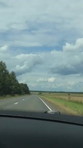The video shows a view from inside a car traveling on a paved road. The road curves slightly to the left and continues into the distance under a cloudy sky. On the left side of the road, there is a dense line of trees. On the right side of the road, there is a field of dry grass or crops. The dashboard of the car is visible in the foreground.