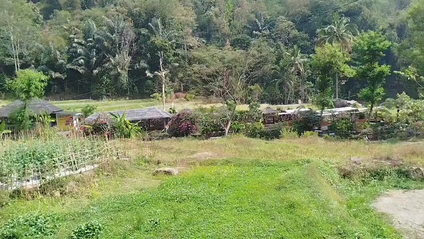 The video shows a wide shot of a rural landscape. In the foreground, there is a field of green grass and vegetation. In the middle ground, there are several small buildings with thatched roofs, surrounded by trees and flowering plants. A garden with rows of plants is visible on the left side of the screen. In the background, there is a dense forest covering a hillside. The scene appears to be a peaceful, natural environment.