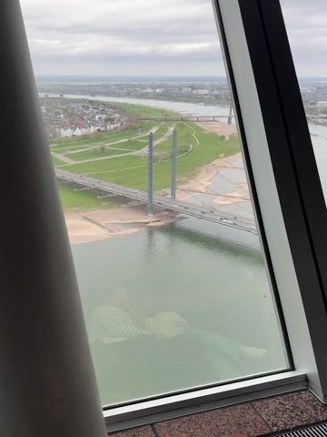 The video offers an elevated view, likely from a tall building or observation deck, looking down upon a river and a prominent cable-stayed bridge in Düsseldorf, Germany.

The main focus is the Rheinkniebrücke, a wide road bridge with multiple lanes carrying vehicles across the Rhine River. Cars are actively moving in both directions on the bridge. The bridge features two distinctive tall, grey concrete pylons. Below the bridge, sandy banks are visible along the river's edge, suggesting either a wide beach area or possibly lower water levels.

Beyond the bridge, a vast expanse of green parkland and residential buildings with red-tiled roofs stretches out. Another, smaller bridge can be seen further in the distance. The sky is overcast.

In the foreground, a large window frame and a thick grey column partially obscure the view. Reflections in the window faintly show a person sitting down, wearing a striped top, looking out at the scenery.

Visible text on one of the bridge pylons includes "2015" and some graffiti at the base, which also seems to include the word "KÖNIGSFUNK".