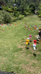 Colorful flamingo sculptures and scenic viewpoint documented in Baan Thurian