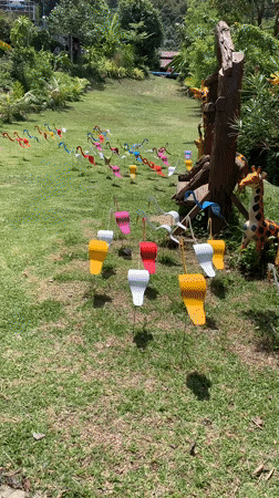 Colorful flamingo sculptures and scenic viewpoint documented in Baan Thurian