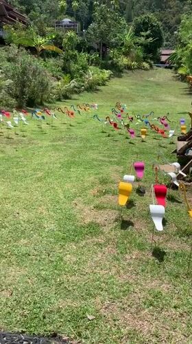 Colorful flamingo sculptures and scenic viewpoint documented in Baan Thurian