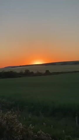 The video shows a view of a sunset over a field of green crops from a moving vehicle.  The sun is just setting on the horizon, casting an orange glow in the sky. The field stretches out toward a distant treeline with a hill behind.  A fence with a safety railing comes into view briefly.  The video ends with a view from ground level, showcasing roadside plants in the foreground.