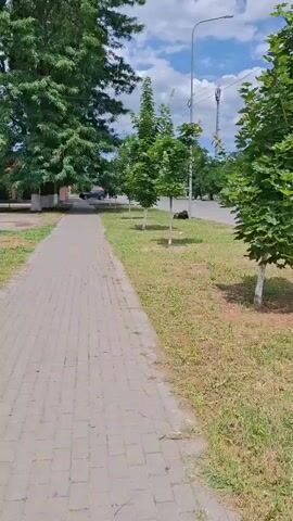 This media file captures a daytime scene on a paved sidewalk next to a grassy area with several young trees. A large evergreen tree stands on the left, with a building visible behind it. The sidewalk leads into the distance, bordered by a road on the right. A few cars are visible on the road, and a streetlamp and utility poles are also present. The weather appears to be pleasant, with a partly cloudy sky. The overall mood is calm and ordinary, suggesting a typical day in a residential or suburban area. There is no visible text in the media file. The location context is Argun, Russia.