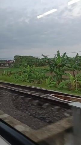 A view from a moving train window shows a landscape under a cloudy sky. The foreground features train tracks and concrete structures adjacent to the tracks.  Beyond this, there's lush green vegetation, including banana trees and other dense foliage. In the distance, there are a few buildings. The camera perspective indicates the viewer is inside a train, observing the scenery passing by.