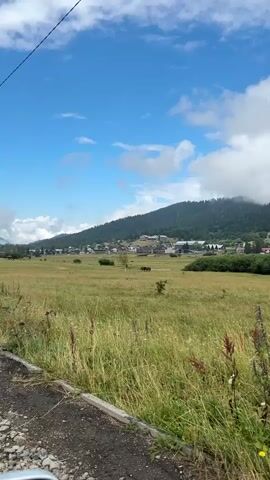 This is a vertical, outdoor video with a bright, partly cloudy sky. The foreground consists of a rough, greyish surface, likely a road or path, bordered by tall, green and brown grasses and some wildflowers. In the mid-ground, there is a wide, open field of green grass. A few trees and some buildings with red roofs are visible in the distance, scattered across the landscape. Behind the field and buildings, a large, tree-covered mountain rises, with some buildings and what appears to be a ski lift or cable car track visible on its slopes. The top of the mountain is partially obscured by clouds. There are no people visible in the video. A dark-colored animal, possibly a horse, is present in the middle of the field. The overall impression is a rural, mountainous landscape on a clear day.