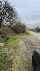 Rural Bulgaria scenes feature overcast roads and cat with bow