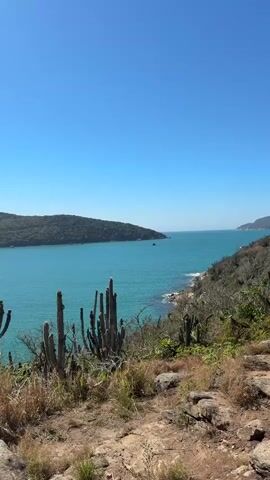 The video shows a scenic view of a bay with clear blue water. A green hill covered in trees is visible on the left side, and a rocky coastline with vegetation is on the right. In the foreground, there are several tall cacti and dry grass. A small boat is sailing in the distance on the water. The sky is a bright, clear blue. The camera pans slightly, offering a wider view of the bay and the boat.