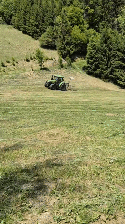 Woman documents tractor mowing field in Austrian countryside
