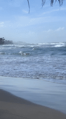 Early morning beach life documented along Sri Lankan coast