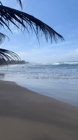 Early morning beach life documented along Sri Lankan coast