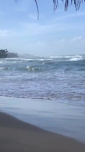 Early morning beach life documented along Sri Lankan coast