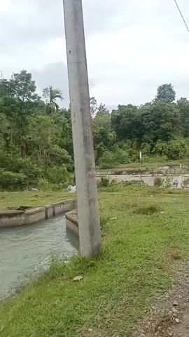 A camera appears to be moving forward on a path next to a stream with concrete banks. The stream flows from the left side of the frame to the right. Beyond the stream, there is a low concrete wall, possibly part of a small dam or structure, with water flowing over it in the distance. Dense green foliage and trees cover the background, suggesting a tropical or heavily vegetated environment. The sky is overcast and grey. There are no people visible in the video.