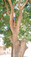 Children play, gather in rural village setting