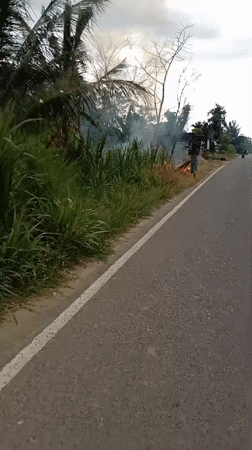 Elderly woman tends roadside fire in rural Indonesia