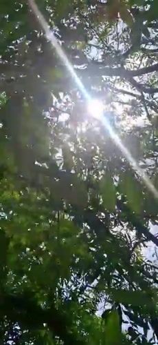 Nature documentation session captures wildlife in Vallecito Venezuela