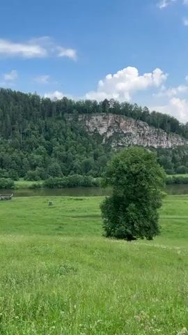 The video opens with a wide shot of a green meadow with a single large tree in the foreground. A gentle slope leads down to a river with a rocky cliff face and a dense forest on the other side. The sky is blue with scattered white clouds. The camera then pans right, revealing more of the river and the surrounding landscape. The next shot shows two tall trees on a grassy hill, with two people walking away from the camera on a dirt path. The camera then follows them down the path, which winds through grassy fields and trees, with a distant view of houses and a forest-covered mountain range. The video ends with a shot of the path continuing downhill, with trees on either side.