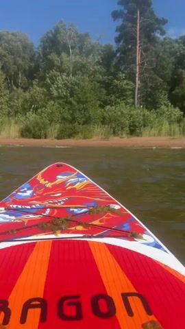 This is a first-person perspective video of someone paddleboarding on a calm body of water. The camera is positioned looking down at the front of a red and orange paddleboard decorated with a dragon design. The paddleboard is in the water, with some green aquatic plants visible on its surface. In the background, there is a sandy shoreline with a dense line of green trees and a clear blue sky. The person's hand is briefly visible in the frame at the beginning of the video. A paddle is used to propel the board forward, and the water ripples around the paddle as it moves. The video focuses on the paddleboard and the natural environment.