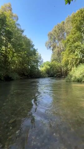 This is a low-angle, wide shot video of a clear, shallow river flowing through a lush, green forest under a bright blue sky. The riverbed is visible, composed of smooth, grey and brown pebbles. Sunlight dapples the water's surface, creating ripples and reflections of the surrounding foliage. Tall trees with dense green leaves line both banks of the river, creating a natural tunnel effect. The foliage ranges from vibrant green to lighter, almost yellowish hues, indicating healthy plant life.

The scene appears to be set in a natural, wooded environment, likely a park or a nature reserve, given the clear water and well-maintained appearance of the trees. The bright sunlight and clear blue sky suggest a daytime setting, likely mid-morning or early afternoon, with fair weather. The overall mood conveyed is one of tranquility and natural beauty. There is no visible text in the video. The location context provided is Mevoot HaHermon Regional Council, Israel, which aligns with the description of a verdant, sunlit landscape.