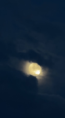 Full moon visible through moving clouds over Burnaby
