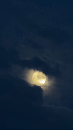 Full moon visible through moving clouds over Burnaby