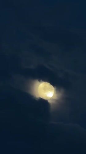 Full moon visible through moving clouds over Burnaby