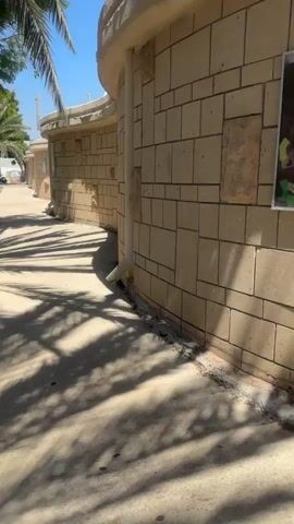 The video shows a curved stone wall next to a concrete path. Palm tree shadows are cast across the path. There is a downspout attached to the wall, and some debris is visible at the base of the wall. In the background, there are more trees and a building. The sky is blue. The video appears to be taken outdoors on a sunny day.