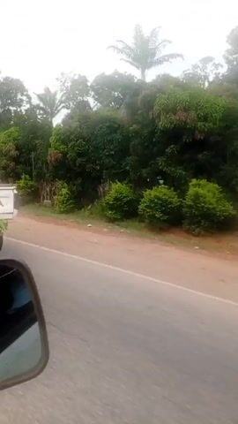 The video depicts a rural road scene. At the beginning, a white Toyota pickup truck with several people in the back is briefly visible. The people appear to be wearing traditional African clothing. The truck is moving along the road. As the video progresses, the focus shifts to the road and the surrounding environment. The road is paved, and the surrounding landscape includes various green trees, shrubs, and tall grassy plants. A motorcycle with a covered carrier is then seen driving on the same road. The rider is a man wearing a white shirt and light-colored pants. The sky is overcast. The video appears to be taken from a moving vehicle.