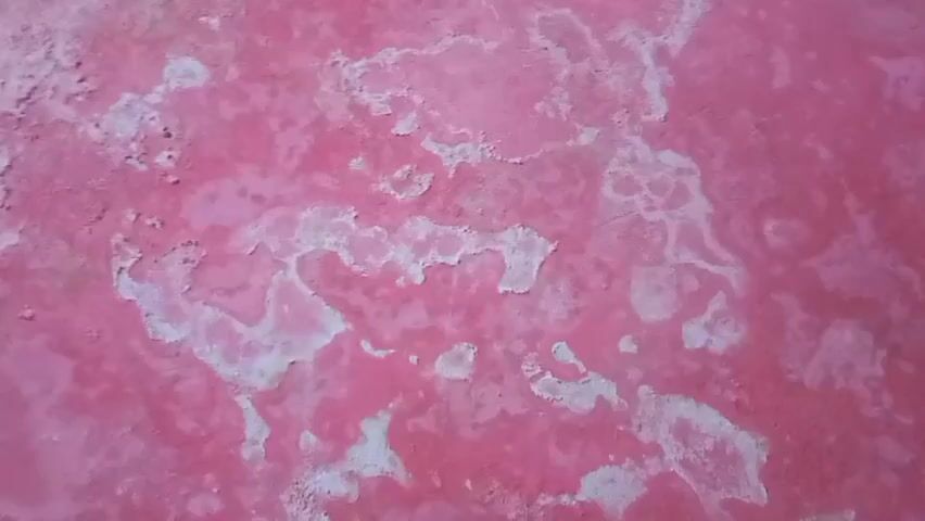 This is a close-up, still media file showing a textured, pinkish surface with irregular patches of white. The texture appears rough and layered, suggesting it could be peeling paint, dried salt deposits, or a similar weathered material. The pink color is varied, with lighter and darker shades, and the white areas are also textured and uneven, with some appearing powdery or crystalline.

The file is a still image, so there is no activity or event taking place beyond what is visually represented in the static image. There are no discernible subjects like people, animals, or distinct objects. The setting is abstract, focusing solely on the surface itself.

Notable details include the dominant pink and white color palette and the rough, uneven texture of the surface. There are no visible cues about the time of day, weather, or specific location beyond the general context provided. The abstract nature of the image prevents any interpretation of emotions. No text is visible in the media file. The visual information is limited to the surface's texture and color.