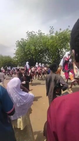 The video shows a group of people on horseback, dressed in white turbans and colorful robes, riding down a dusty road surrounded by onlookers. Many of the spectators are holding up their phones, seemingly to record the procession. The setting appears to be outdoors, with trees in the background and an overcast sky. A few individuals are visible in the foreground, their backs to the camera, also watching the parade. Overall, the scene captures a traditional ceremonial event.