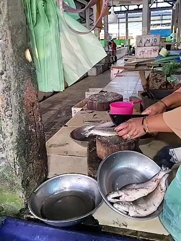 A person's hands are visible, preparing fish at a market stall. The person is wearing a light-colored garment and a bracelet on their left wrist. They are using a knife to clean a fish that is placed on a wooden chopping block. There are two large metal bowls in the foreground, one filled with water and the other with two cleaned fish. Behind the person, other market stalls and people can be seen in the background, along with green tarps and wooden structures. The environment appears to be an indoor market with a concrete floor.