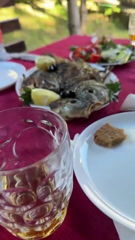 The camera pans across a table set for a meal outdoors. The table is covered with a deep red cloth. A large white plate of grilled fish garnished with lemon wedges, parsley, and olives sits in the center. Behind it, another white plate contains a salad of tomatoes, zucchini, and parsley. A glass of amber-colored liquid and a small piece of bread on a plate are in the foreground. A person in jeans is seated at the table. The outdoor setting is suggested by grass and tree foliage visible in the background. The overall atmosphere indicates a casual outdoor gathering with food.